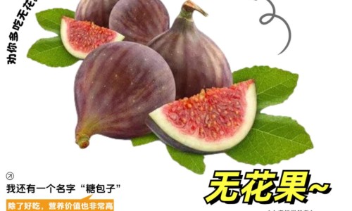 枸橘尖的功效-【枸橘刺伤肝还是养肝】枸橘尖的功效 - 枸橘刺药用网
