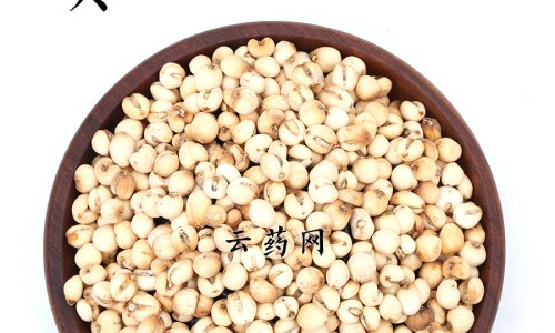 【枸橘刺伤肝还是养肝】枸橘尖的功效 - 枸橘刺药用网